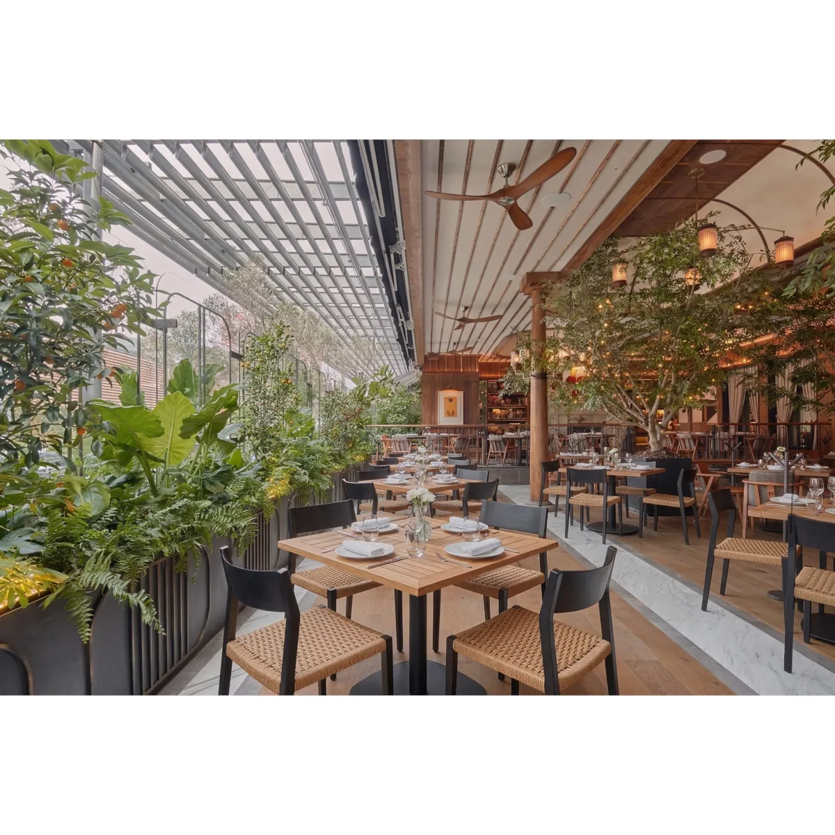 Sillas y Mesas para Restaurante SR1050 -MR3013