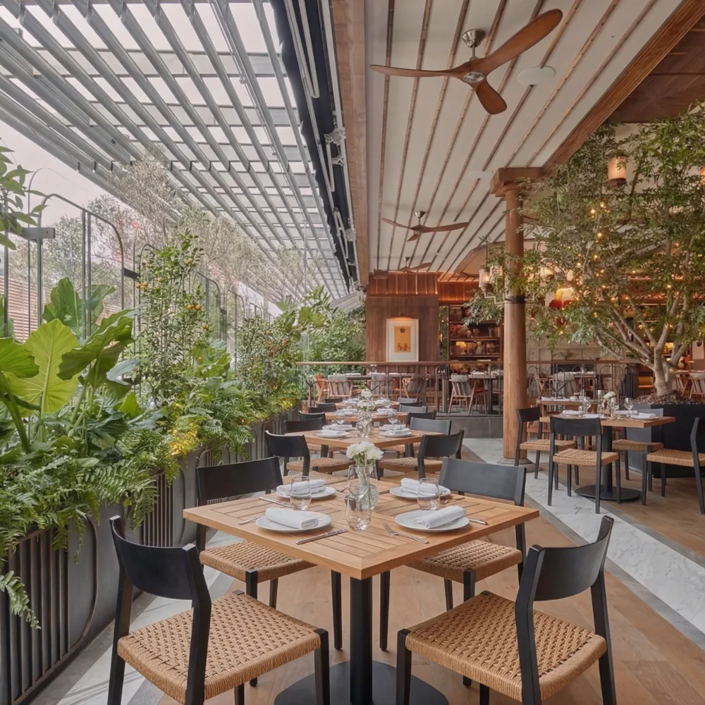 Silla de Aluminio Tejida SR-1050 - Imagen 2