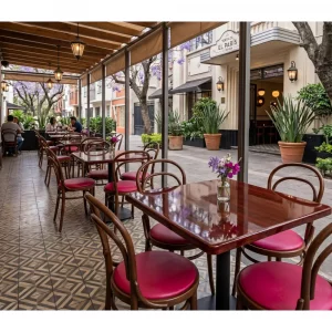 Silla y Mesa para Restaurante 1554-RT201-BR29